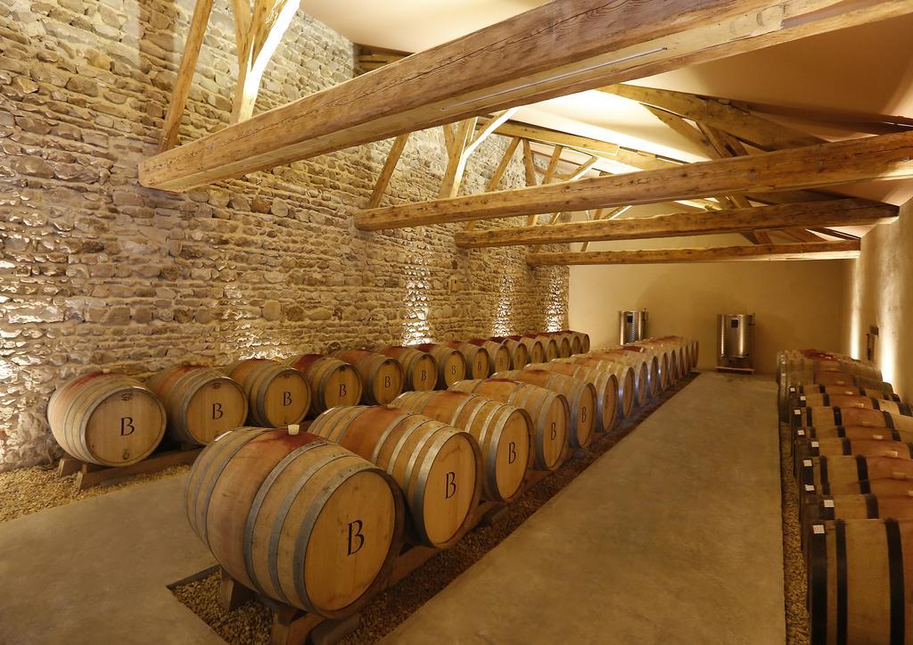Chateau De Briante Saint-Lager Экстерьер фото